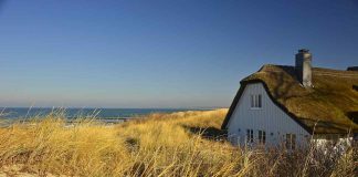 Co je výměnek a jak ho lze užít? co je to výměnek a jak ho lze užít?