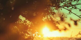 Darování mezi partnery a daně darování mezi partnery