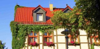 Darování nemovitosti: Převod, daň, vzor smlouvy, odvolání daru darování nemovitosti