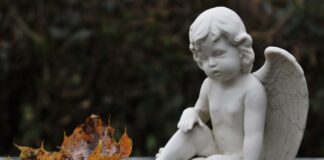 Dědické řízení krok za krokem | Postup, lhůty, notář, poplatky dědické řízení