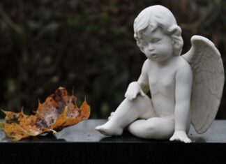 Dědické řízení krok za krokem | Postup, lhůty, notář, poplatky dědické řízení