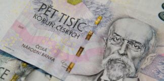 Dědictví partnera, partnerky, druha, družky, přítelkyně a přítele dědictví partnera