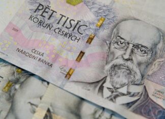 Dědictví partnera, partnerky, druha, družky, přítelkyně a přítele dědictví partnera