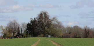 Jak prověřit právní stav pozemku: Postup a vady pozemku jak prověřit právní stav pozemku