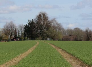Jak prověřit právní stav pozemku: Postup a vady pozemku jak prověřit právní stav pozemku
