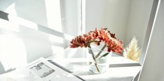 Osobnostní autorská práva: Příklady, obsah, trvání a ochrana osobnostní autorská práva