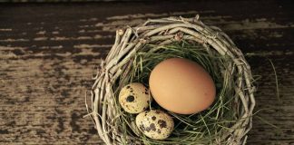 Popření otcovství popření otcovství