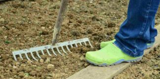 Pozemkové úpravy pozemkové úpravy