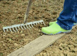 Pozemkové úpravy pozemkové úpravy