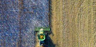 Použití emotikonu 👍 bylo bráno za digitální podpis a potvrzení smlouvy, zemědělec musel zaplatit 61 tisíc dolarů