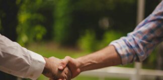 Nastavení spolupráce s freelancerem: Podmínky, smlouva a daně Spolupráce s freelancerem