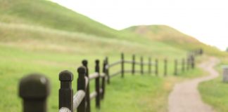 Stavební povolení na plot? Co všechno musíte vědět o stavbě plotu stavební povolení na plot