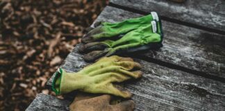 Ukončení dohody o provedení práce: Způsob, forma a náležitosti ukončení dohody o provedení práce