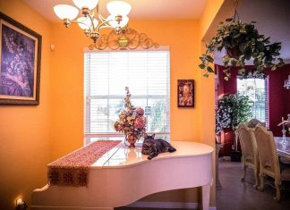 Zakázaná ujednání v nájemní smlouvě Zakázaná ujednání v nájemní smlouvě