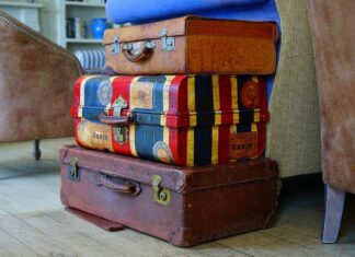 Žaloba na vyklizení bytu: Vzor žaloby a návod jak vystěhovat žaloba na vyklizení bytu