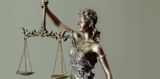 Žaloba oprávněného dědice žaloba oprávněného dědice